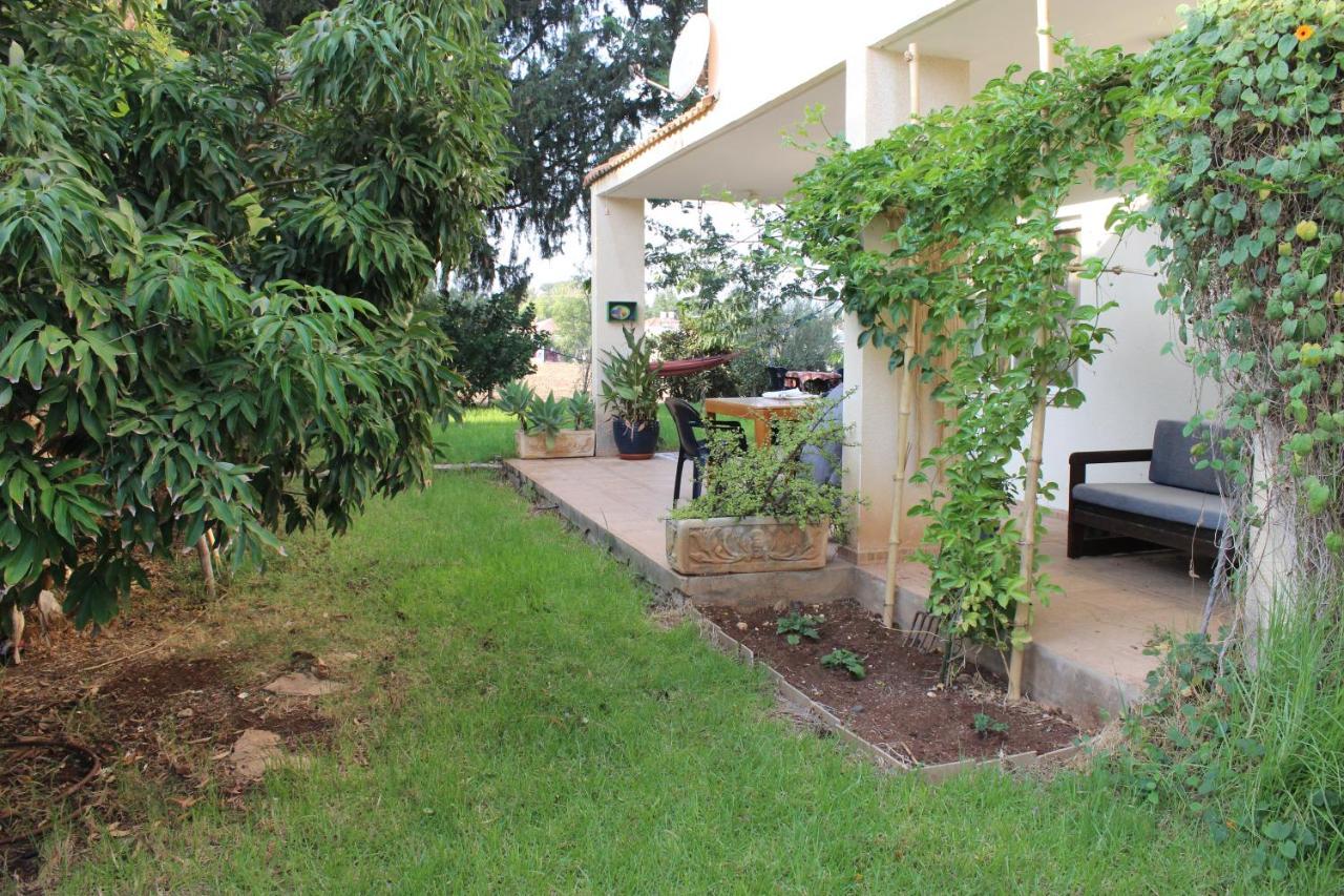 Chez Rothman Sublet Apartment Shadmot Devora Екстериор снимка