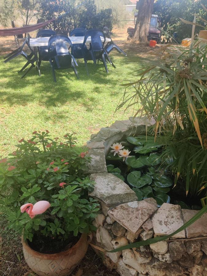 Chez Rothman Sublet Apartment Shadmot Devora Екстериор снимка